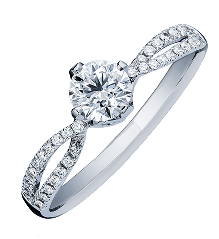 Gold Layered Necklace